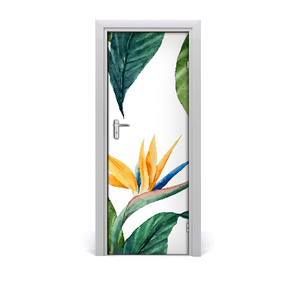Papel de parede em porta Strelitzia reginae