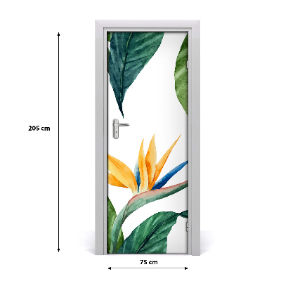 Papel de parede em porta Strelitzia reginae