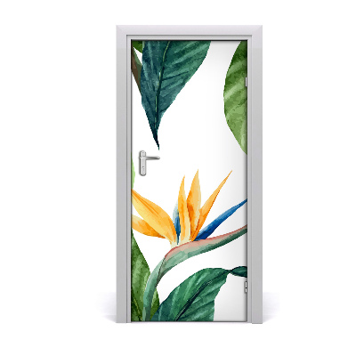 Papel de parede em porta Strelitzia reginae