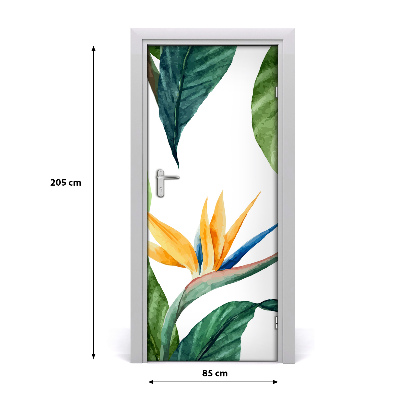 Papel de parede em porta Strelitzia reginae