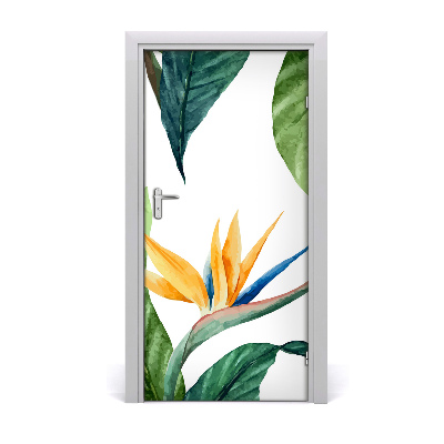 Papel de parede em porta Strelitzia reginae
