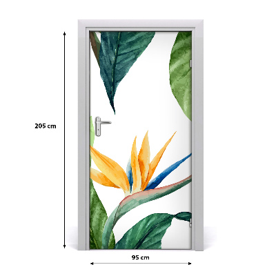 Papel de parede em porta Strelitzia reginae