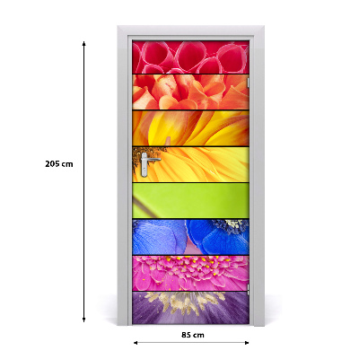 Adesivo em porta Flores coloridas