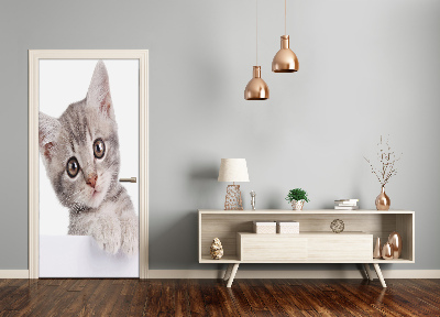 Papel de parede em porta gato cinza