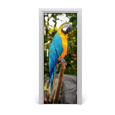 Autocolante para porta Papagaio arara