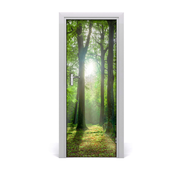 Papel de parede em porta O sol na floresta
