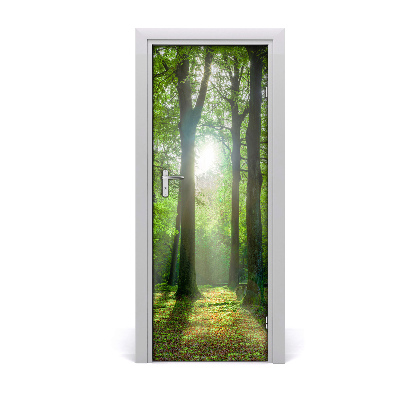 Papel de parede em porta O sol na floresta