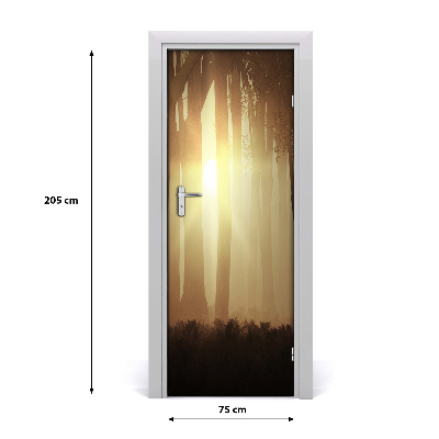 Papel de parede em porta Nevoeiro na floresta