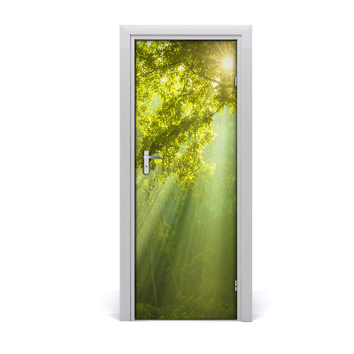 Autocolante para porta O sol na floresta