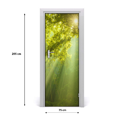 Autocolante para porta O sol na floresta
