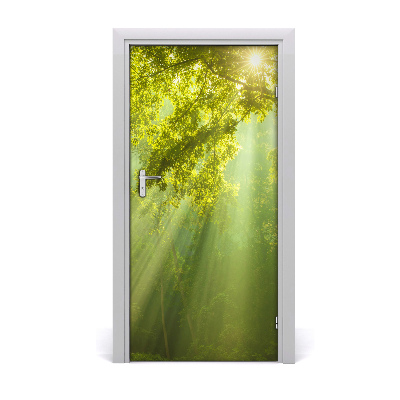 Autocolante para porta O sol na floresta