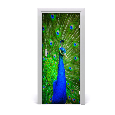 Papel de parede em porta Pavão