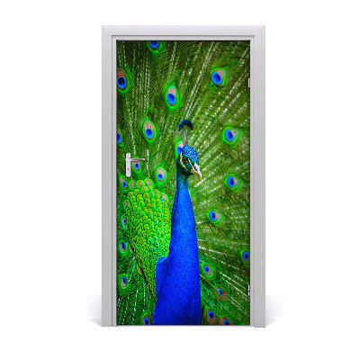 Papel de parede em porta Pavão