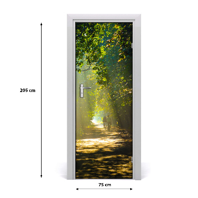 Autocolante para porta Caminho na floresta