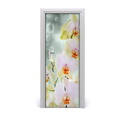 Papel de parede em porta Orquídea na porta