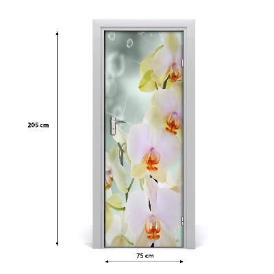 Papel de parede em porta Orquídea na porta