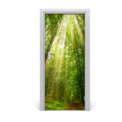 Autocolante para porta Caminho na floresta