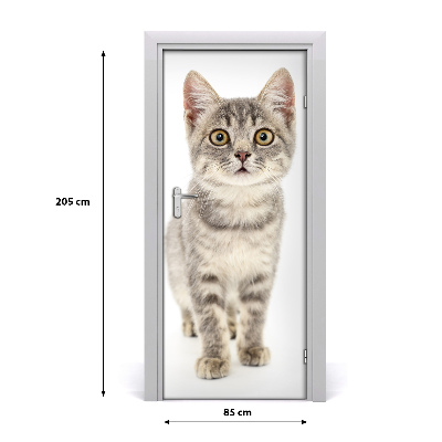 Papel de parede em porta gato cinza