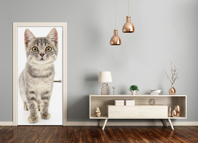 Papel de parede em porta gato cinza