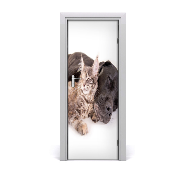 Adesivo em porta Cachorro e gato