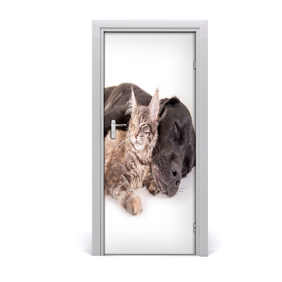 Adesivo em porta Cachorro e gato