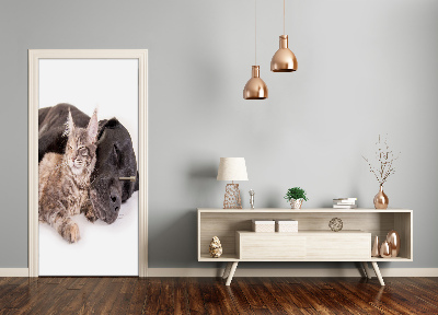 Adesivo em porta Cachorro e gato