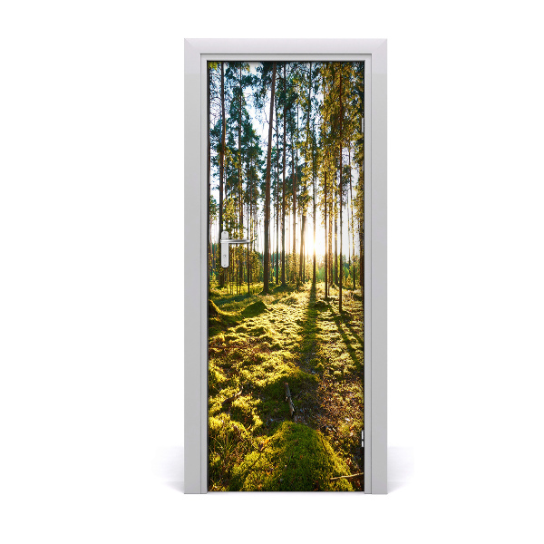 Adesivo em porta Floresta de pinheiros