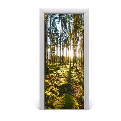 Adesivo em porta Floresta de pinheiros
