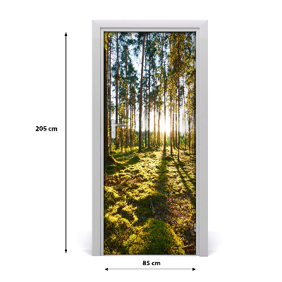 Adesivo em porta Floresta de pinheiros