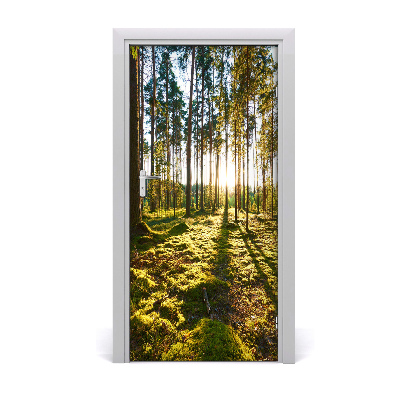 Adesivo em porta Floresta de pinheiros
