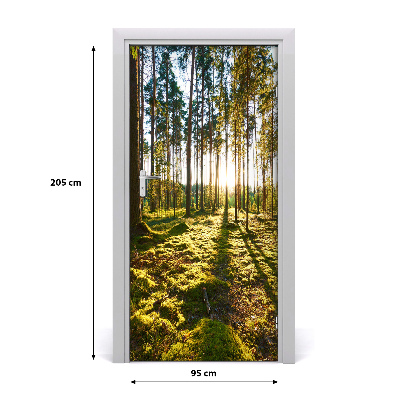 Adesivo em porta Floresta de pinheiros