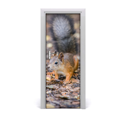 Papel de parede em porta Esquilo na floresta