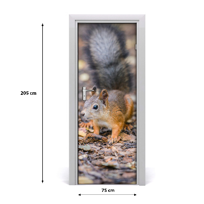 Papel de parede em porta Esquilo na floresta