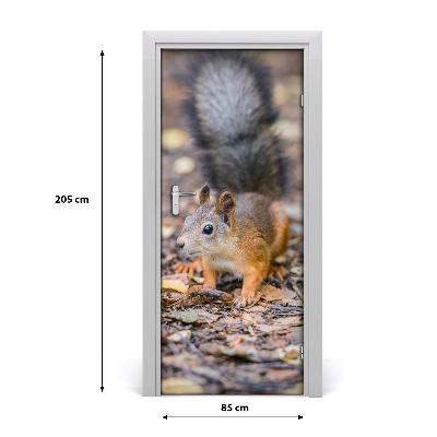 Papel de parede em porta Esquilo na floresta