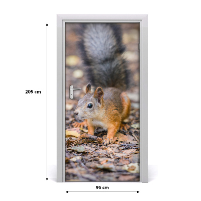 Papel de parede em porta Esquilo na floresta