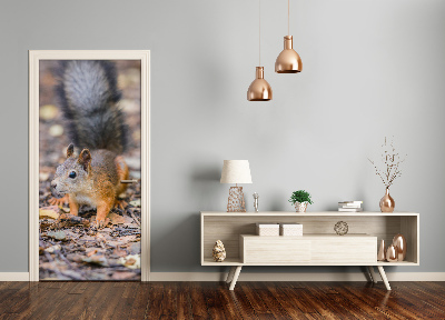 Papel de parede em porta Esquilo na floresta