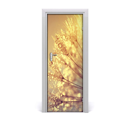 Papel de parede em porta Sementes de dente-de-leão