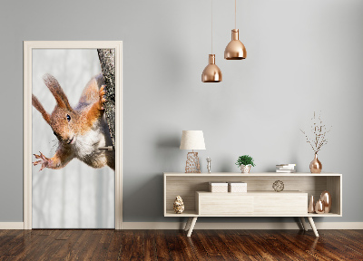 Adesivo em porta Esquilo em uma árvore