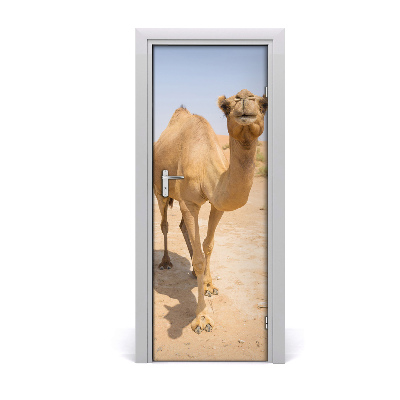 Papel de parede em porta Camelo no deserto