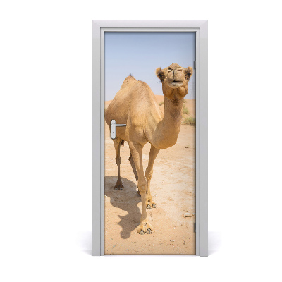 Papel de parede em porta Camelo no deserto