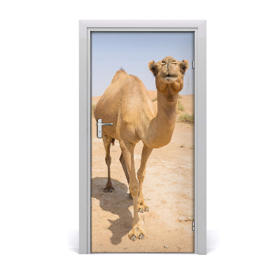 Papel de parede em porta Camelo no deserto
