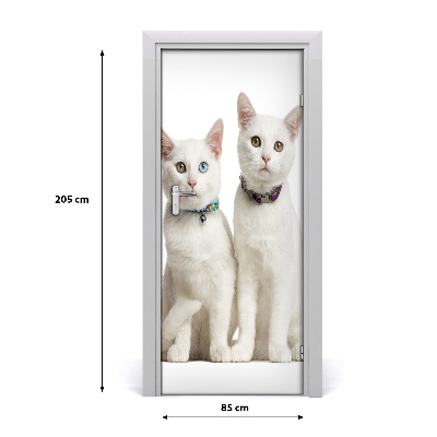 Autocolante para porta Dois gatos brancos