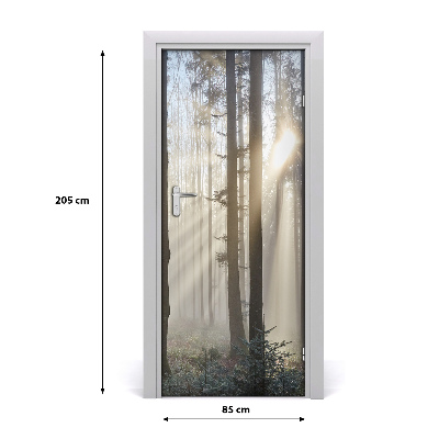 Autocolante para porta Nevoeiro na floresta