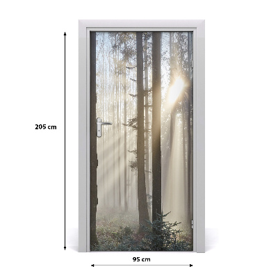 Autocolante para porta Nevoeiro na floresta