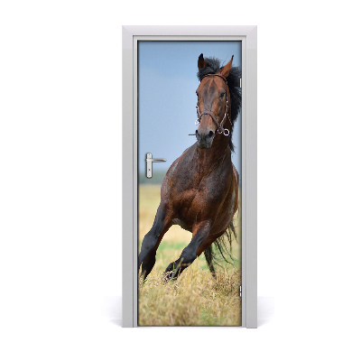 Papel de parede em porta Um cavalo em um campo