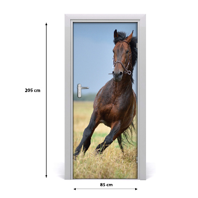 Papel de parede em porta Um cavalo em um campo