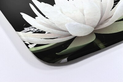 Tapete para wc Flores Nenúfares