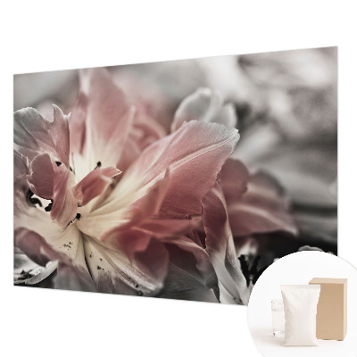 Papel de parede fotográfico Flor pastel
