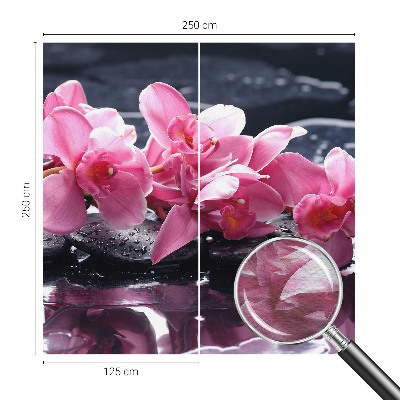 Mural fotográfico Elegância floral