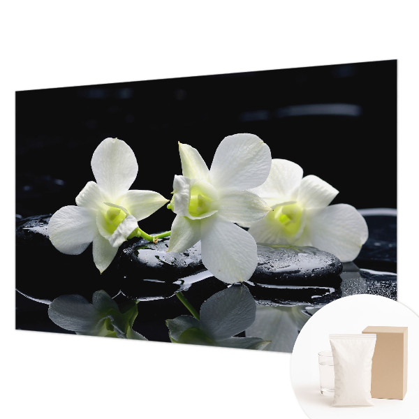 Papel de parede Flores e pedras